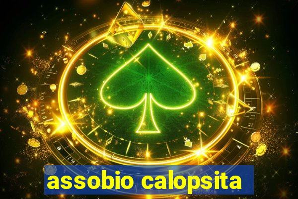 assobio calopsita